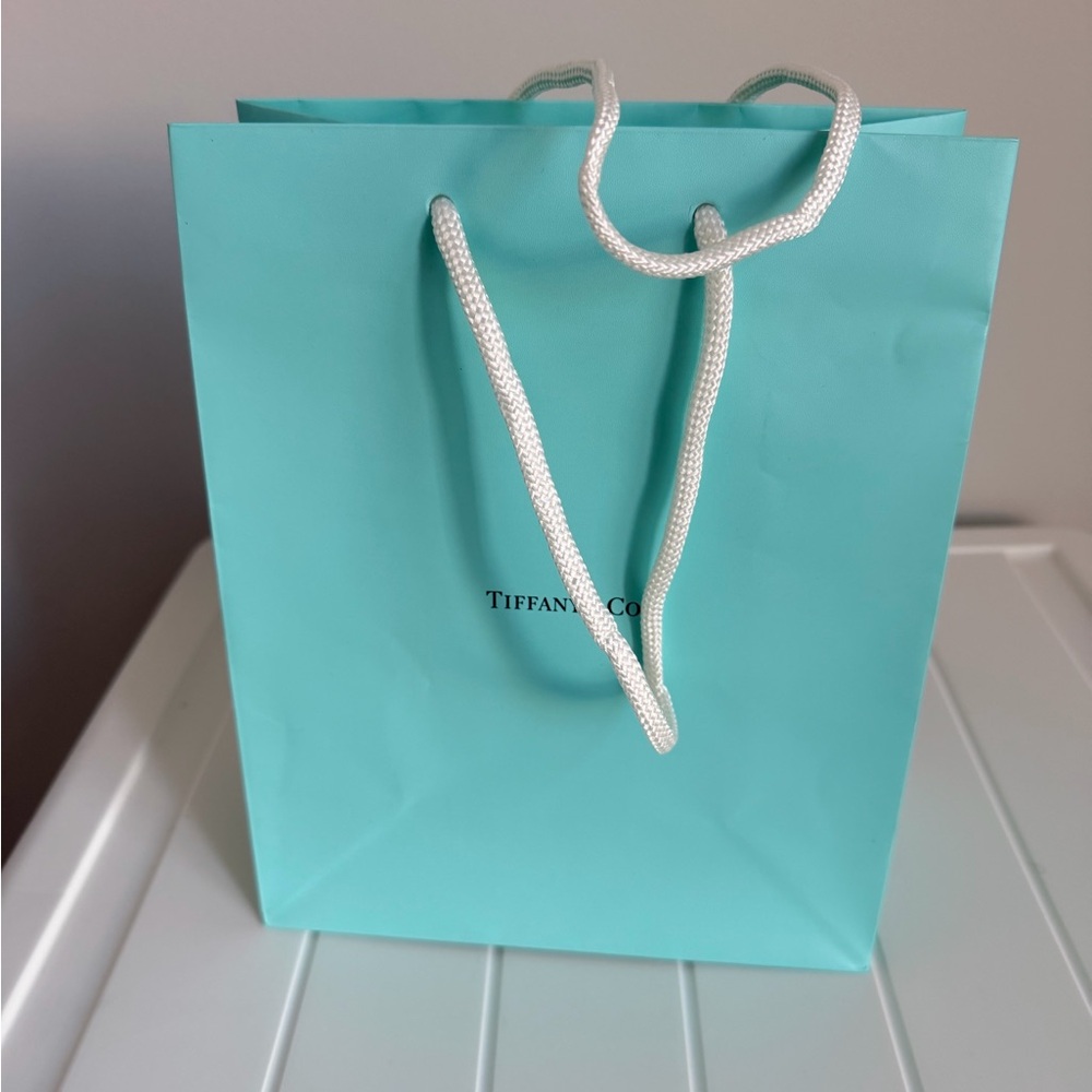 TIFFANY & CO. Shopping Gift Bag Authentic